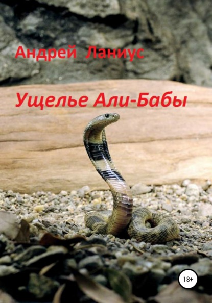 Ущелье Али-Бабы — Ланиус Андрей