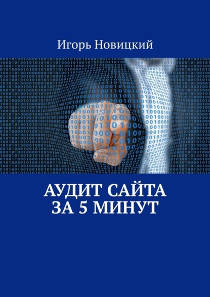 Аудит сайта за 5 минут - Игорь Новицкий