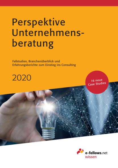 Perspektive Unternehmensberatung 2020 - Группа авторов