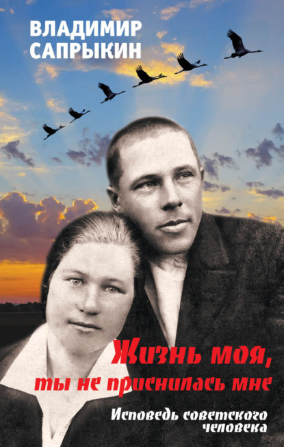 Жизнь моя, ты не приснилась мне. Исповедь советского человека — Владимир Сапрыкин