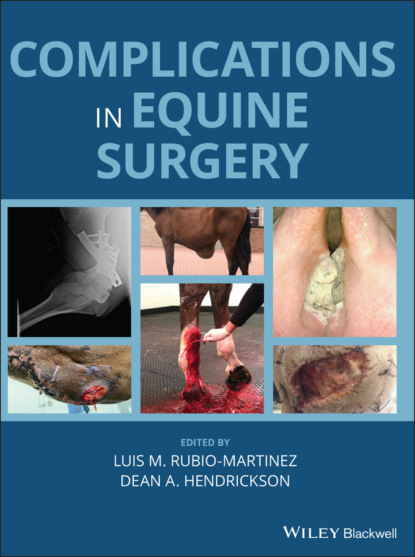 Complications in Equine Surgery - Группа авторов