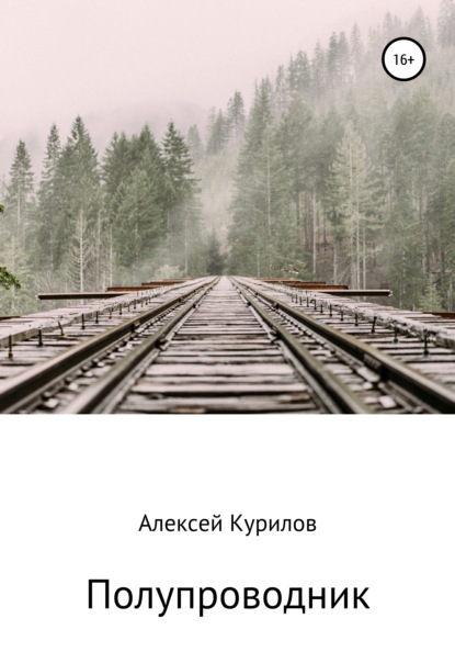 Полупроводник - Алексей Курилов