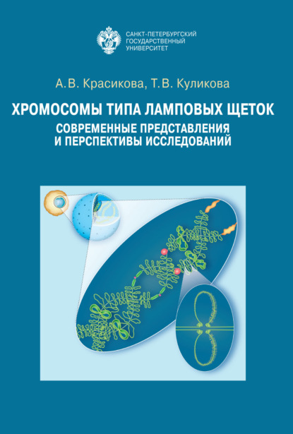 Хромосомы типа ламповых щеток. Современные представления и перспективы исследований - А. В. Красикова