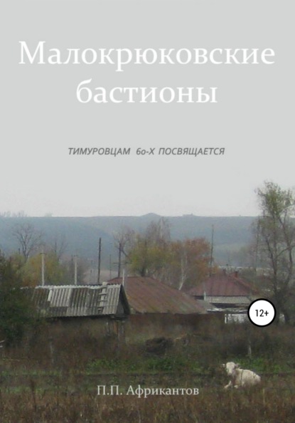 Малокрюковские бастионы — Пётр Петрович Африкантов