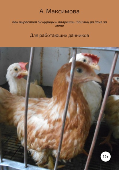 Как вырастить 52 курицы и получить 1560 яиц на даче за лето. Для работающих дачников - Александра Олеговна Максимова