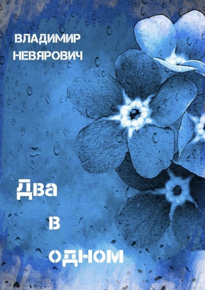 Два в одном. Поэзия - Владимир Невярович