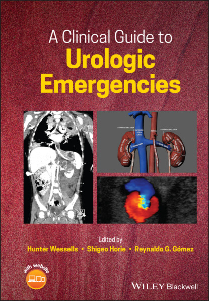 A Clinical Guide to Urologic Emergencies - Группа авторов