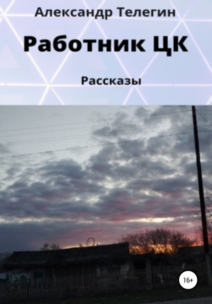 Работник ЦК. Рассказы - Александр Александрович Телегин