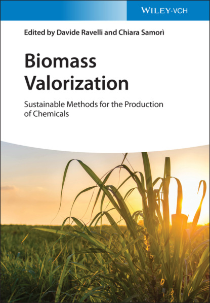 Biomass Valorization - Группа авторов