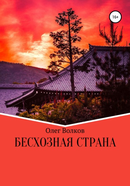 Бесхозная страна - Олег Волков