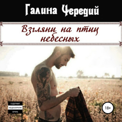 Взгляни на птиц небесных - Галина Чередий