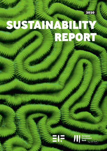 European Investment Bank Group Sustainability Report 2020 - Группа авторов