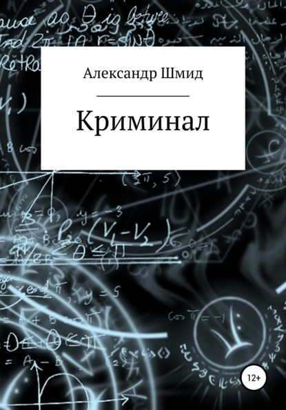 Криминал — Александр Витальевич Шмид