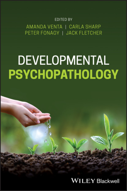 Developmental Psychopathology - Группа авторов