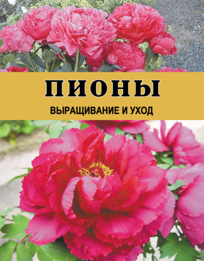 Пионы. Выращивание и уход — Дарья Резько