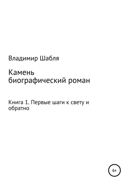 Камень. Биографический роман. Книга 1. Первые шаги к свету и обратно - Владимир Петрович Шабля