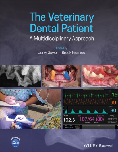 The Veterinary Dental Patient: A Multidisciplinary Approach - Группа авторов