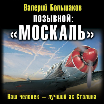 Позывной: «Москаль». Наш человек – лучший ас Сталина - Валерий Петрович Большаков