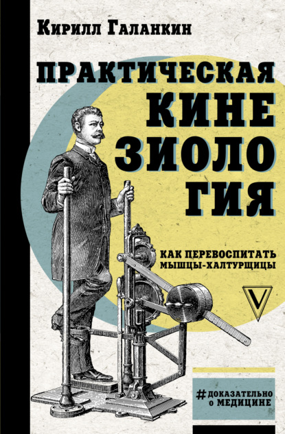 Практическая кинезиология. Как перевоспитать мышцы-халтурщицы - Кирилл Галанкин