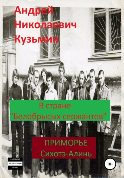 В стране «белобрысых сержантов» - Андрей Николаевич Кузьмин