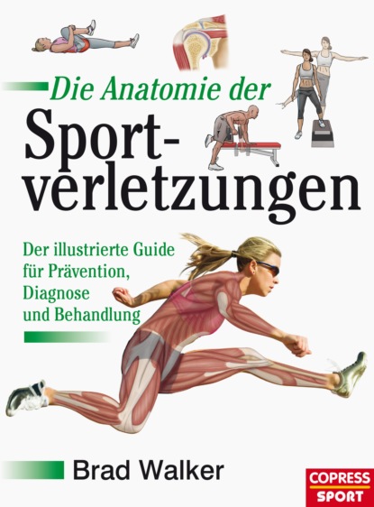 Die Anatomie der Sportverletzungen — Брэд Уокер