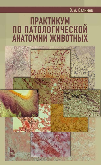 Практикум по патологической анатомии животных - В. А. Салимов