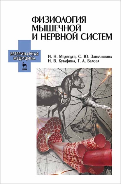 Физиология мышечной и нервной систем - И. Н. Медведев