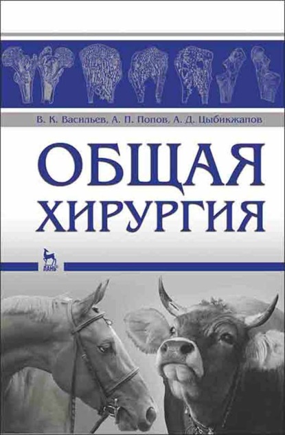 Общая хирургия — А. Попов