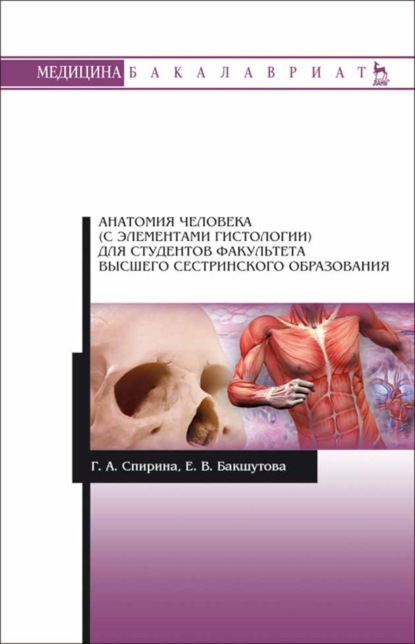 Анатомия человека (с элементами гистологии) для студентов факультета высшего сестринского образования - Г. А. Спирина