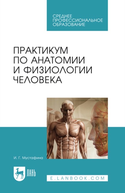 Практикум по анатомии и физиологии человека. Учебное пособие для СПО - И. Г. Мустафина