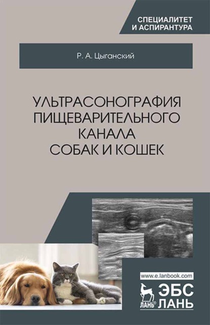 Ультрасонография пищеварительного канала собак и кошек - Р. А. Цыганский