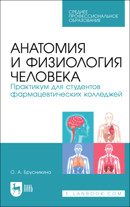 Анатомия и физиология человека. Практикум для студентов фармацевтических колледжей - О. А. Брусникина