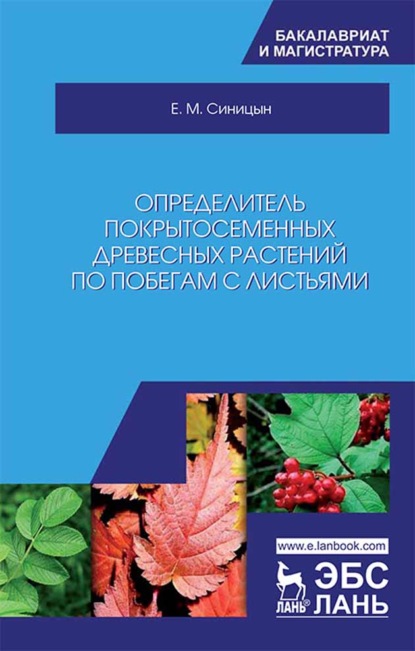 Определитель покрытосеменных древесных растений по побегам с листьями - Е. М. Синицын