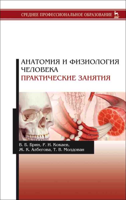 Анатомия и физиология человека. Практические занятия - В. Б. Брин