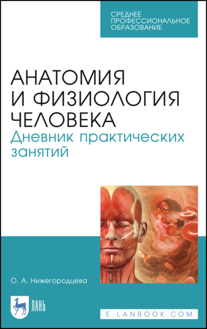 Анатомия и физиология человека. Дневник практических занятий - О. А. Нижегородцева