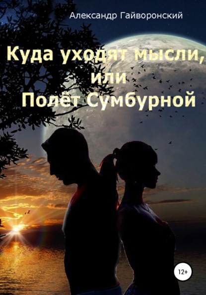 Куда уходят мысли, или Полет Сумбурной - Александр Борисович Гайворонский