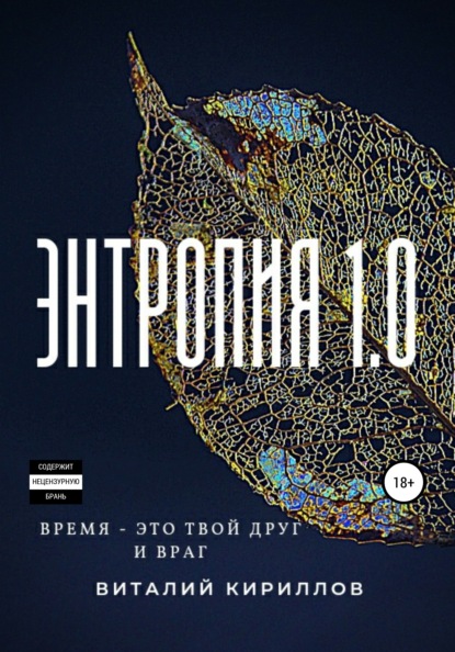 Энтропия 1.0 - Виталий Александрович Кириллов