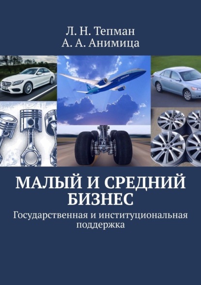 Малый и средний бизнес. Государственная и институциональная поддержка - Л. Н. Тепман