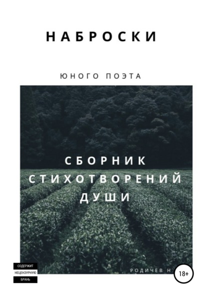 Наброски юного поэта, или Сборник стихотворений души - Никита Эдуардович Родичев