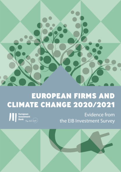 European firms and climate change 2020/2021 — Группа авторов