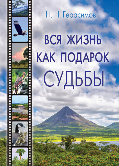 Вся жизнь как подарок судьбы - Николай Герасимов