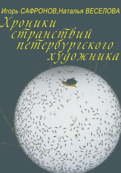 Хроники странствий петербургского художника — Наталья Александровна Веселова