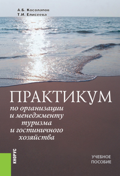 Практикум по организации и менеджменту туризма и гостиничного хозяйства. (Аспирантура, Бакалавриат). Учебное пособие. - Татьяна Ивановна Елисеева