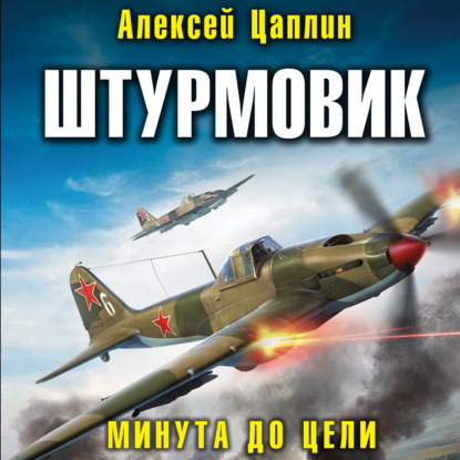 Штурмовик. Минута до цели — Алексей Цаплин