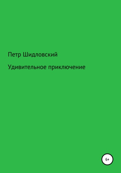 Удивительное приключение - Петр Васильевич Шидловский