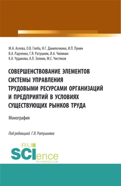 Совершенствование элементов системы управления трудовыми ресурсами организаций и предприятий в условиях существующих рынков труда. (Аспирантура, Бакалавриат, Магистратура). Монография. - Надежда Григорьевна Данилочкина