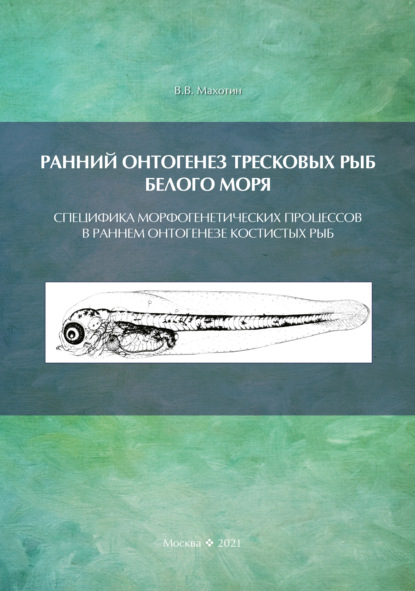 Ранний онтогенез тресковых рыб Белого моря. Специфика морфогенетических процессов в раннем онтогенезе костистых рыб (на примере развития тресковых) - В. В. Махотин