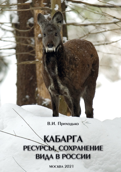 Кабарга. Ресурсы, сохранение вида в России - В. И. Приходько