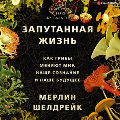 Запутанная жизнь. Как грибы меняют мир, наше сознание и наше будущее — Мерлин Шелдрейк