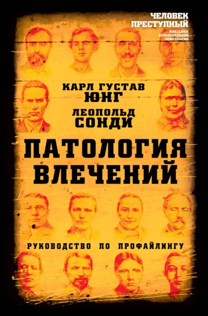 Патология влечений. Руководство по профайлингу - Карл Густав Юнг